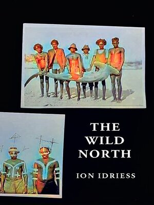 cover image of The Wild North